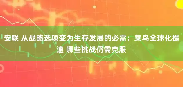 安联 从战略选项变为生存发展的必需：菜鸟全球化提速 哪些挑战仍需克服