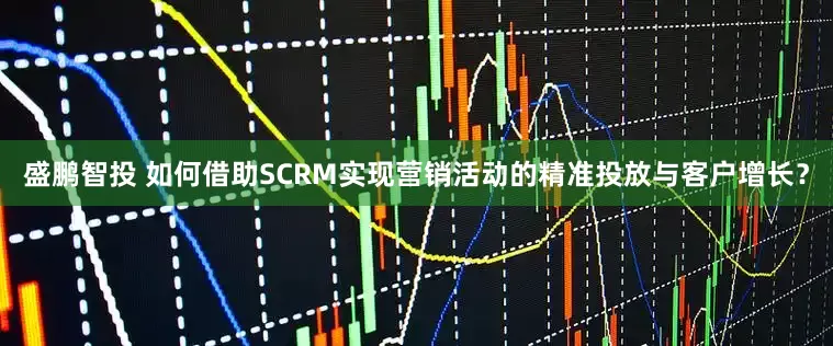 盛鹏智投 如何借助SCRM实现营销活动的精准投放与客户增长？